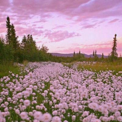 B体育登录APP下载